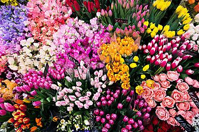 《鬼武者2：复刻版》PC版采用D加密 配置公开